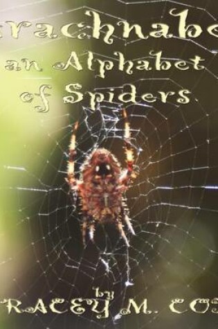 Cover of Arachnabet- An Alphabet of Spiders