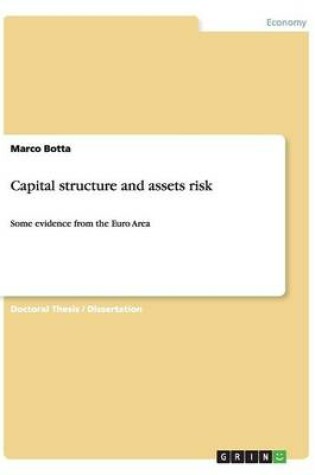 Cover of Capital structure and assets risk