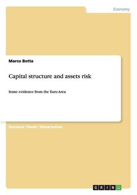 Book cover for Capital structure and assets risk