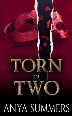 Book cover for Torn In Two