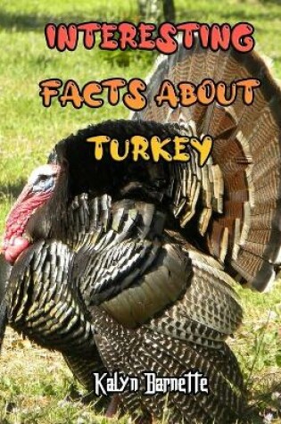 Cover of Interesting Facts about Turkey