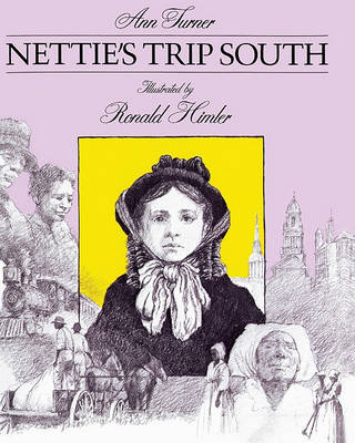 Book cover for Nettie's Trip South