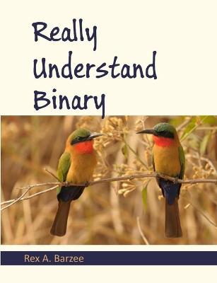 Book cover for Really Understand Binary