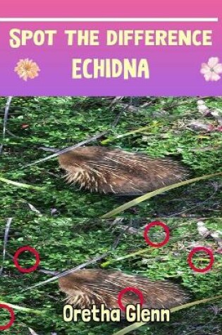 Cover of Spot the difference Echidna