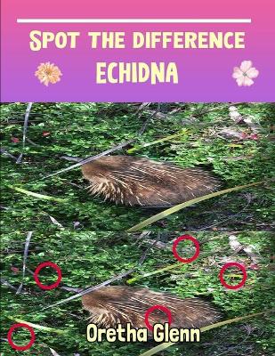 Book cover for Spot the difference Echidna