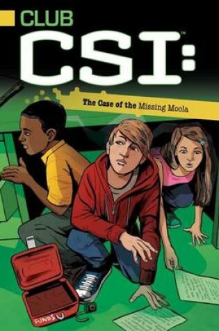 Cover of The Case of the Missing Moola