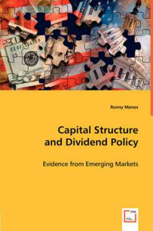 Cover of Capital Structure and Dividend Policy