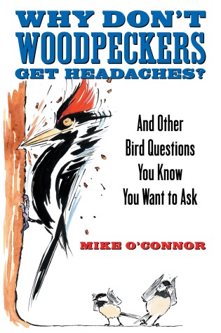 Cover of Why Don't Woodpeckers Get Headaches?