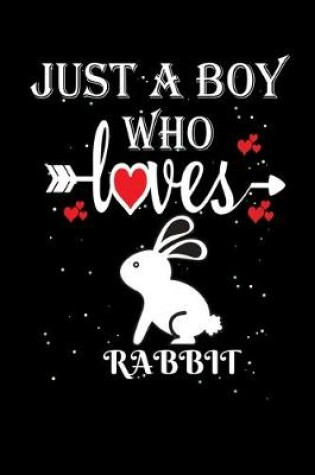 Cover of Just a Boy Who Loves Rabbit
