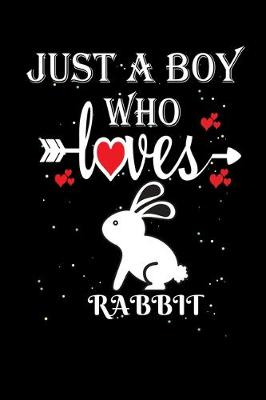Book cover for Just a Boy Who Loves Rabbit