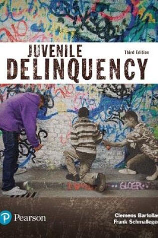 Cover of Juvenile Delinquency (Justice Series)