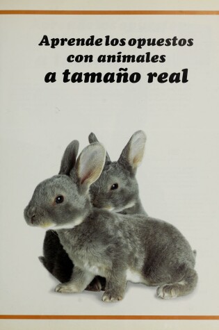 Cover of Aprende Los Opuestos Con Animales a Tama~no Real