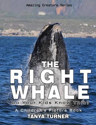 Book cover for The Right Whale