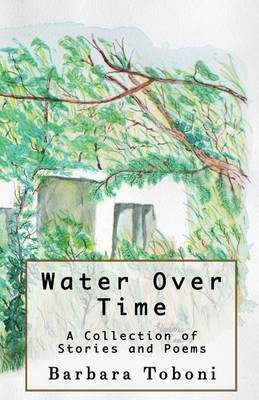 Book cover for Water Over Time