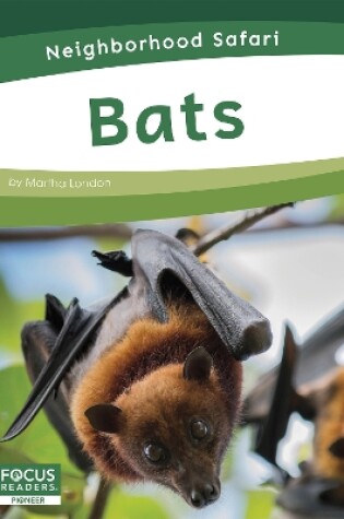 Cover of Bats