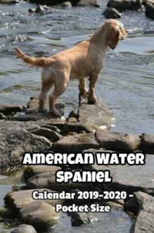 Cover of American Water Spaniel Calendar 2019-2020 - Pocket Size