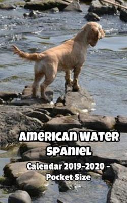 Book cover for American Water Spaniel Calendar 2019-2020 - Pocket Size