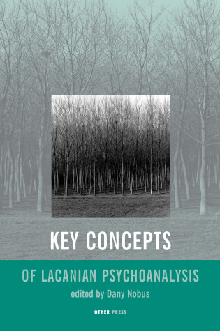 Cover of Key Concepts of Lacanian Psychoanalysis