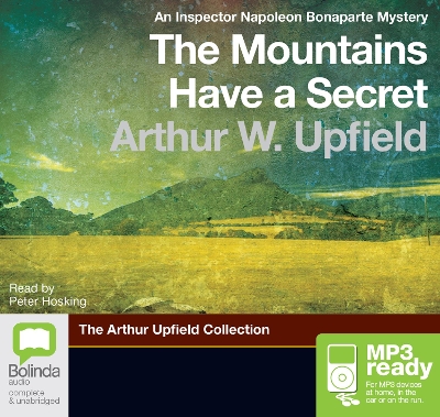 Book cover for The Mountains Have a Secret