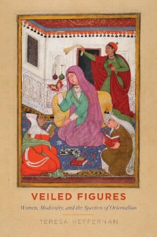 Cover of Veiled Figures