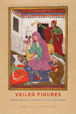 Book cover for Veiled Figures