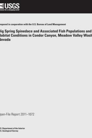 Cover of Big Spring Spinedace and Associated Fish Populations and Habitat Conditions in Condor Canyon, Meadow Valley Wash, Nevada