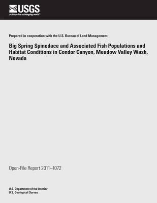 Book cover for Big Spring Spinedace and Associated Fish Populations and Habitat Conditions in Condor Canyon, Meadow Valley Wash, Nevada