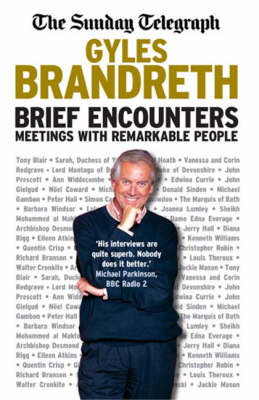 Book cover for Brief Encounters