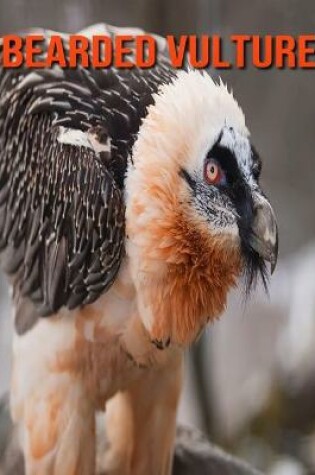 Cover of Bearded Vulture