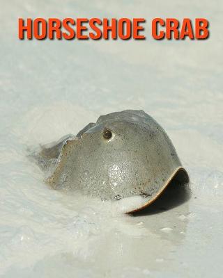 Book cover for Horseshoe Crab