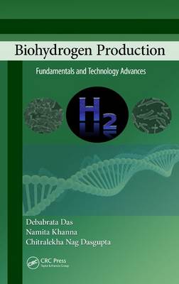 Book cover for Biohydrogen Production