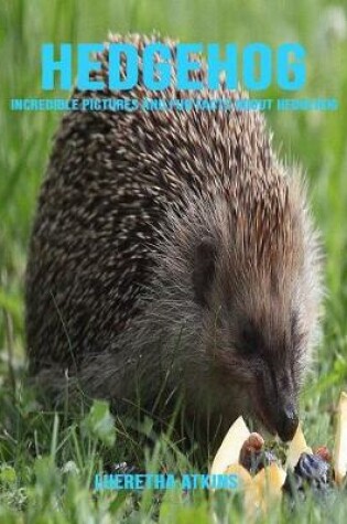 Cover of Hedgehog