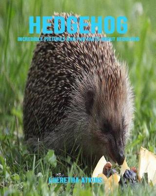 Book cover for Hedgehog