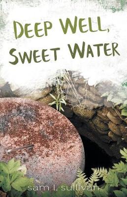 Book cover for Deep Well, Sweet Water