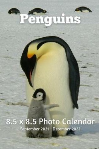Cover of Penguins 8.5 X 8.5 Calendar September 2021 -December 2022