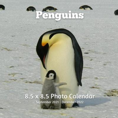 Book cover for Penguins 8.5 X 8.5 Calendar September 2021 -December 2022