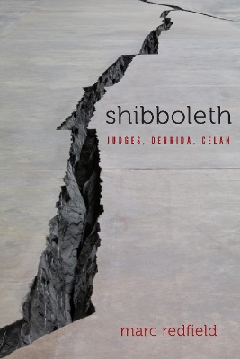 Book cover for Shibboleth