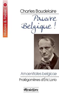 Book cover for Pauvre Belgique !