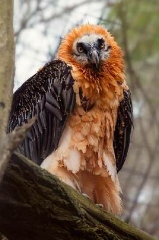 Cover of Bearded Vulture Bird Journal