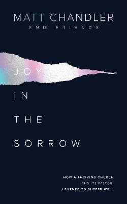 Book cover for Joy in the Sorrow