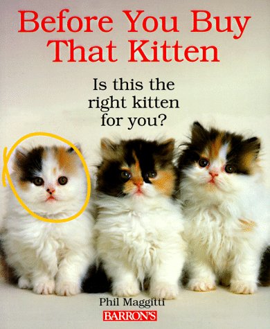 Book cover for Before You Buy That Kitten