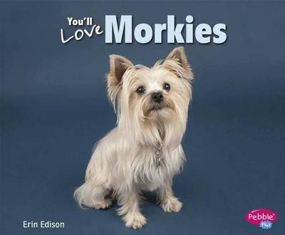 Book cover for You'll Love Morkies