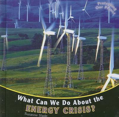 Book cover for What Can We Do about the Energy Crisis?