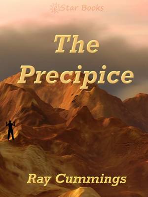 Book cover for The Precipice