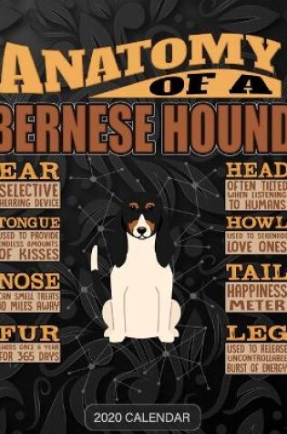 Cover of Anatomy Of A Bernese Hound