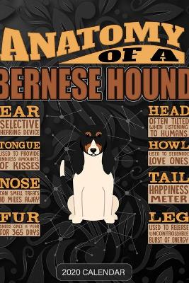 Book cover for Anatomy Of A Bernese Hound