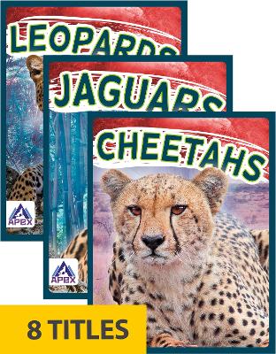 Book cover for Wild Cats (Set of 8)