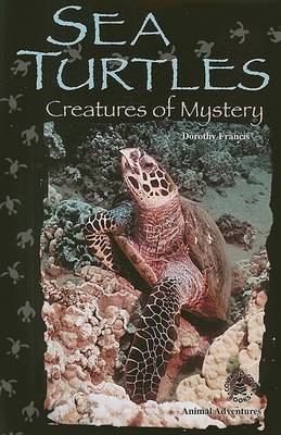 Book cover for Sea Turtles