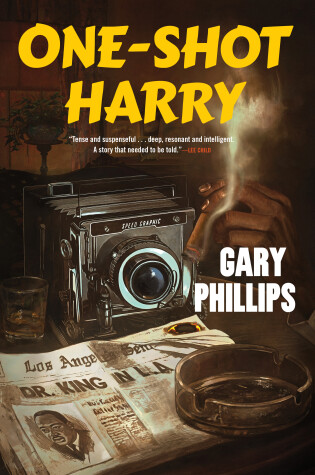 Cover of One-Shot Harry