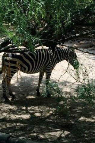 Cover of A Zebra in the Shade, for the Love of Animals